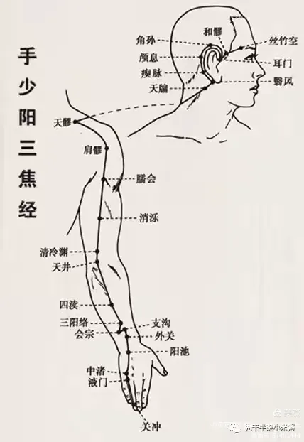手少阳三焦经图解